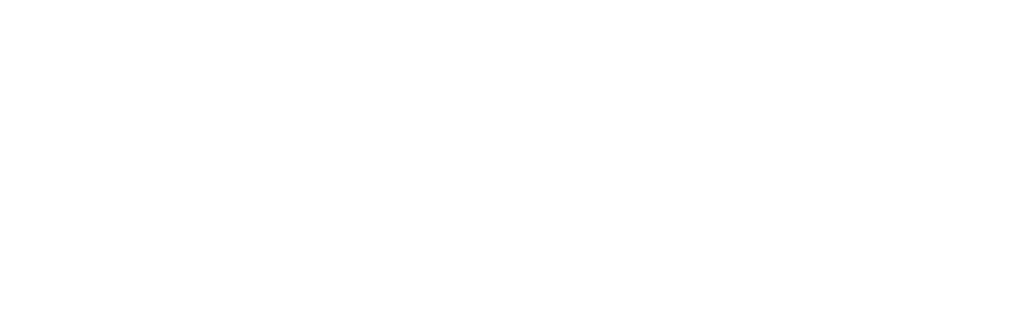 Maximo Internacional